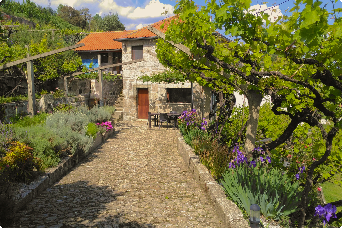 2020-11-19_Canon EOS 760D_IMG_7744-12